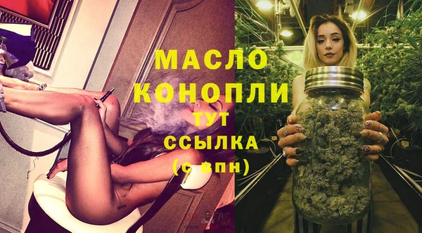 мет Дмитриев