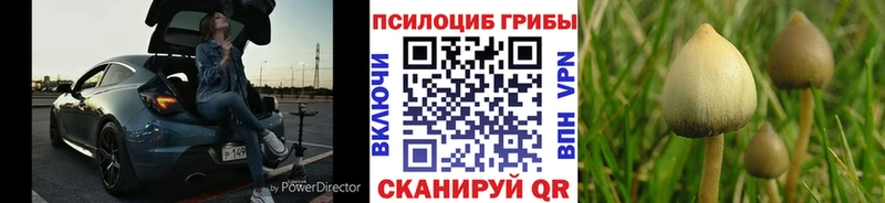 Галлюциногенные грибы мицелий Тосно