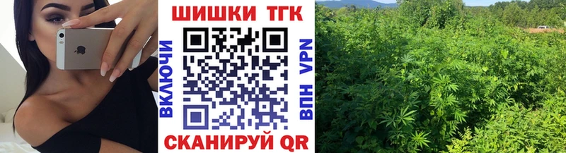 Бошки Шишки Amnesia  как найти закладки  Тосно 